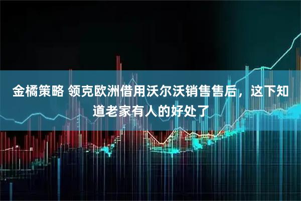 金橘策略 领克欧洲借用沃尔沃销售售后，这下知道老家有人的好处了