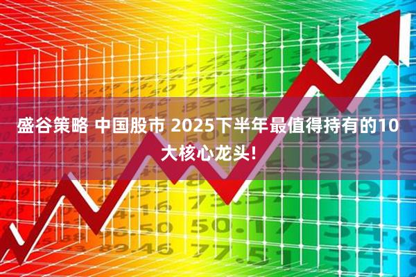 盛谷策略 中国股市 2025下半年最值得持有的10大核心龙头!