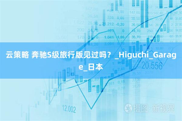 云策略 奔驰S级旅行版见过吗？_Higuchi_Garage_日本